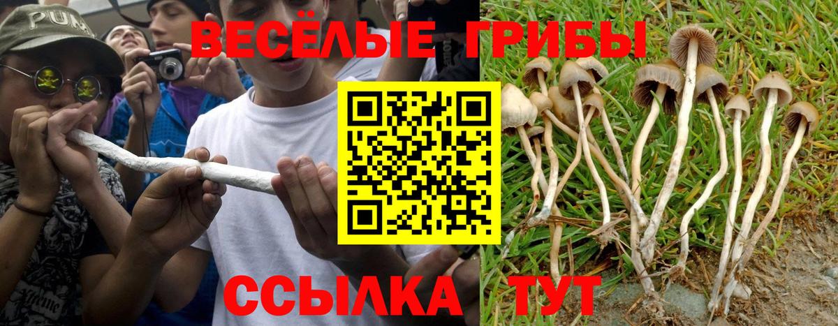 Грязи  Галлюциногенные грибы Cubensis  Вход с VPN 