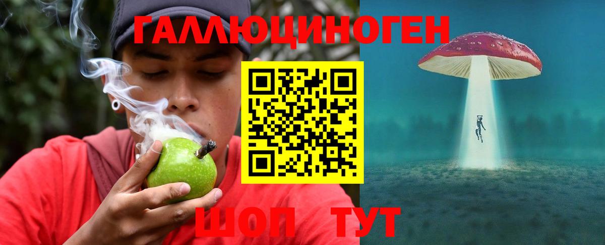 Псилоцибиновые грибы прущие грибы Грязи