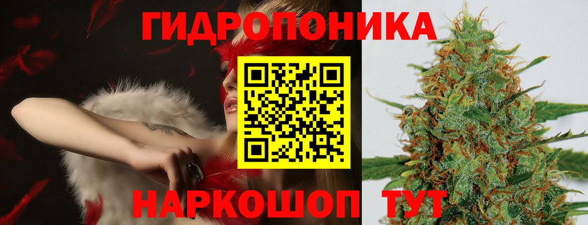 Каннабис MAZAR  Шишки марихуана сатива  Грязи  Вход с VPN  Конопля сатива 
